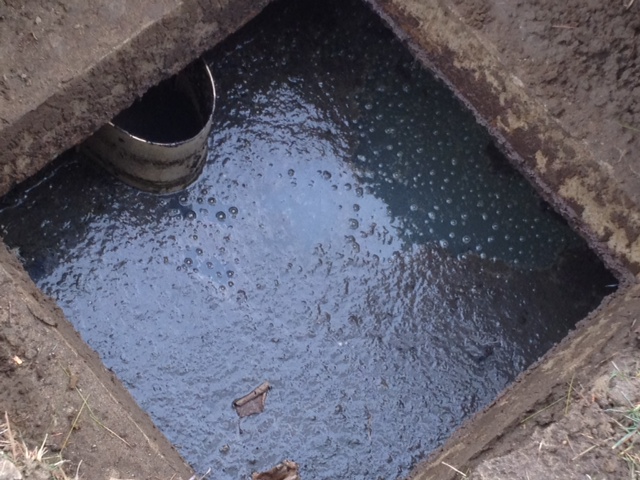 Failing Septic System Before and after water load applied